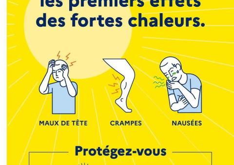canicule